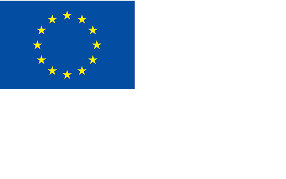 EURO Flag